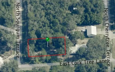 4797 E Cork Tree Ln, Hernando, FL 34442 photo 4