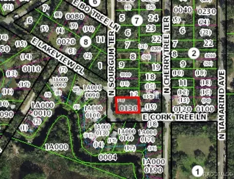 4797 E Cork Tree Ln, Hernando, FL 34442 photo 3