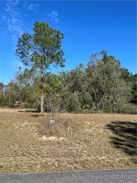3188 N Barton Creek Cir, Lecanto, FL 34461