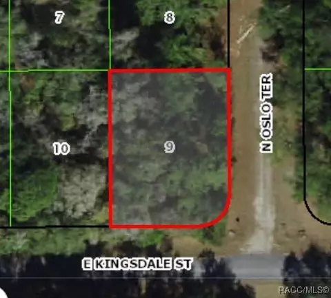 9060 N Oslo Ter, Citrus Springs, FL 34434