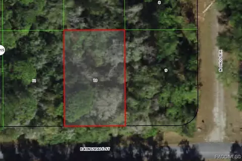 925 E Kingsdale St, Citrus Springs, FL 34434