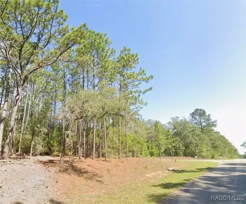 9318 N Lily Dr, Citrus Springs, FL 34434