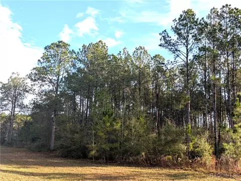 143 S Kensington Ave, Lecanto, FL 34461