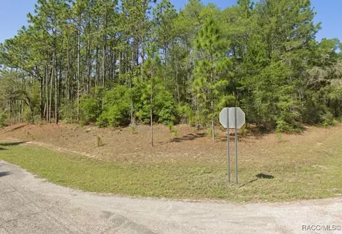 9330 N Lily Dr, Citrus Springs, FL 34434