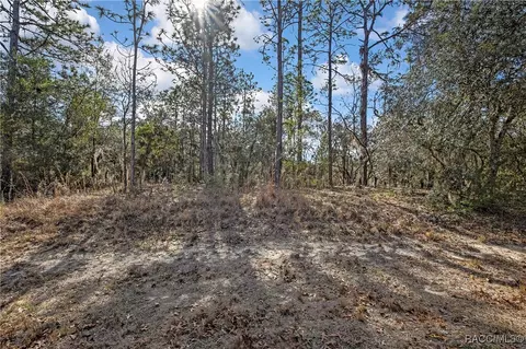 3921 N Longvalley Rd, Hernando, FL 34442 photo 5