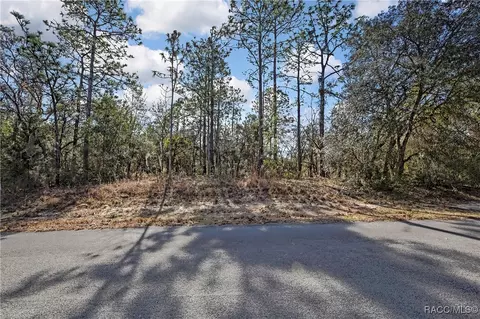 3921 N Longvalley Rd, Hernando, FL 34442