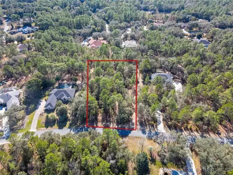 3921 N Longvalley Rd, Hernando, FL 34442 photo 4