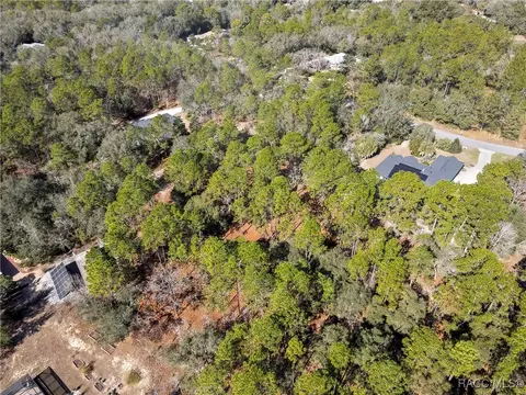 3921 N Longvalley Rd, Hernando, FL 34442 photo 9
