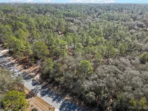 3905 N Longvalley Rd, Hernando, FL 34442 photo 4