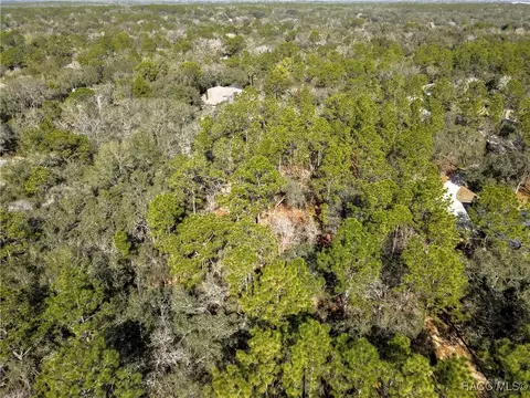 3905 N Longvalley Rd, Hernando, FL 34442 photo 10