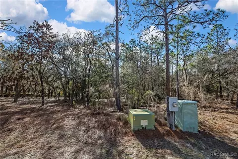 3905 N Longvalley Rd, Hernando, FL 34442 photo 6