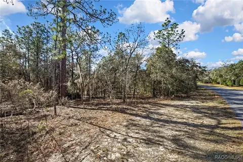 3905 N Longvalley Rd, Hernando, FL 34442 photo 5