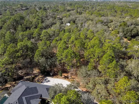 3905 N Longvalley Rd, Hernando, FL 34442 photo 8
