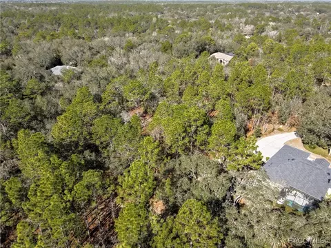 3905 N Longvalley Rd, Hernando, FL 34442 photo 11