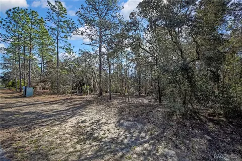 3905 N Longvalley Rd, Hernando, FL 34442 photo 2