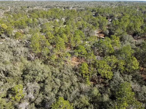 3905 N Longvalley Rd, Hernando, FL 34442 photo 9
