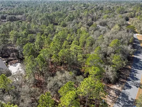 3905 N Longvalley Rd, Hernando, FL 34442 photo 12