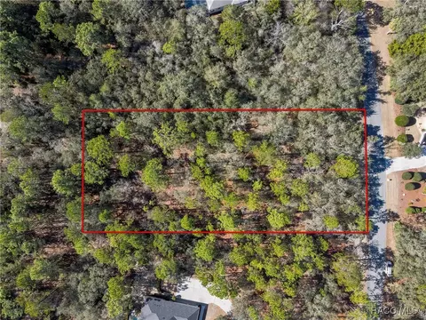 3905 N Longvalley Rd, Hernando, FL 34442 photo 3