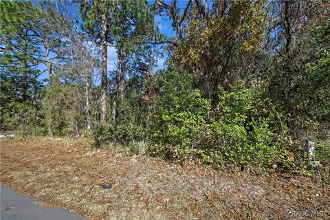 87 Cypress Cir, Homosassa, FL 34446