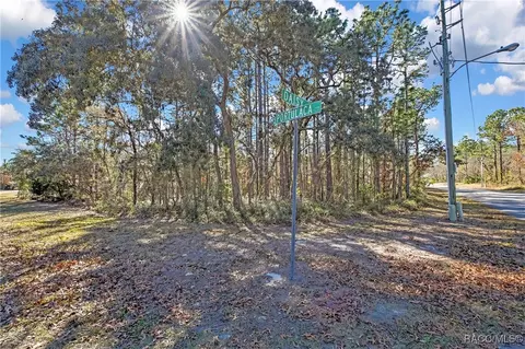 2 Portulaca Ct, Homosassa, FL 34446