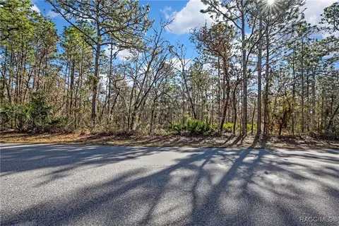 174 Daisy St, Homosassa, FL 34446