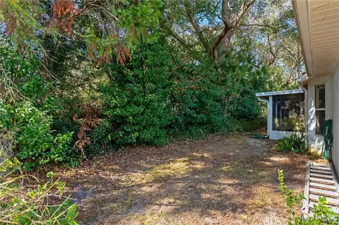 Exterior - 3548 E Cove Park Trl, Hernando, FL 34442 photo 7 of 15