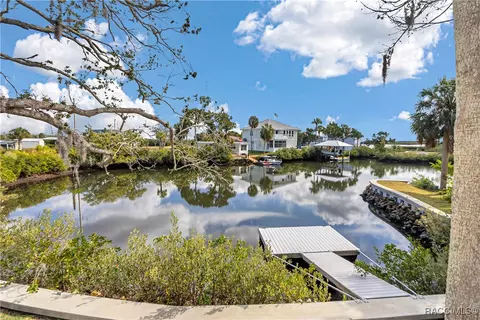 View/Area - 13920 W Evers Ct, Crystal River, FL 34429 photo 3 of 17
