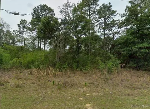2338 W Riley Dr, Dunnellon, FL 34434