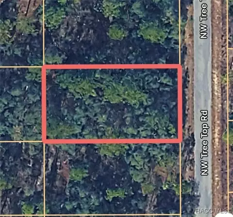 0000 NW Tree Top Unit Apt 007 Rd, Dunnellon, FL 34431