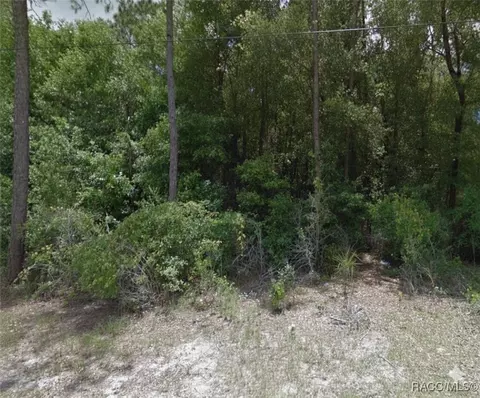 1409 Stowe St, Inverness, FL 34450