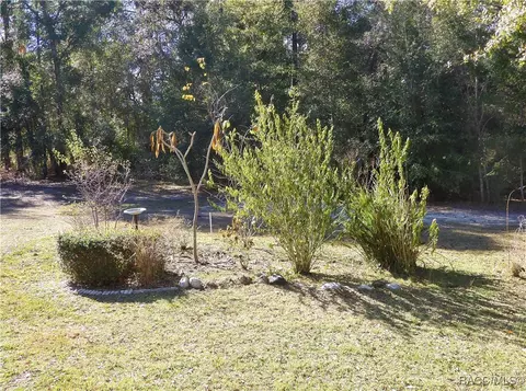 1099 W Olympia St, Hernando, FL 34442 photo 35