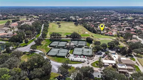 View/Area - 1861 N Eagle Chase Dr, Hernando, FL 34442 photo 12 of 19