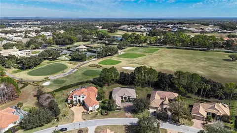 View/Area - 1861 N Eagle Chase Dr, Hernando, FL 34442 photo 4 of 19
