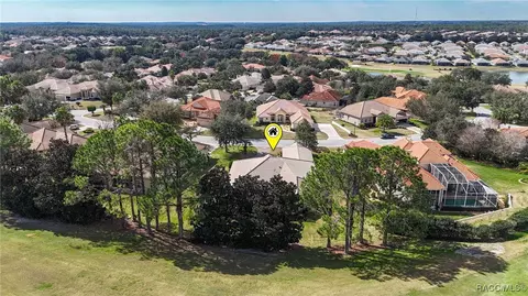 View/Area - 1861 N Eagle Chase Dr, Hernando, FL 34442 photo 10 of 19