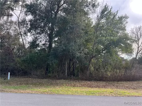 2564 E Chivalry Ct, Hernando, FL 34442 photo 14