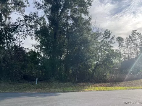 2564 E Chivalry Ct, Hernando, FL 34442 photo 5