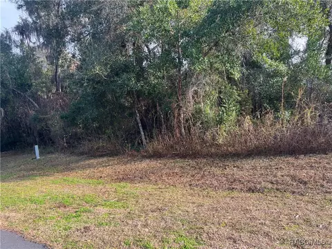 2564 E Chivalry Ct, Hernando, FL 34442 photo 7