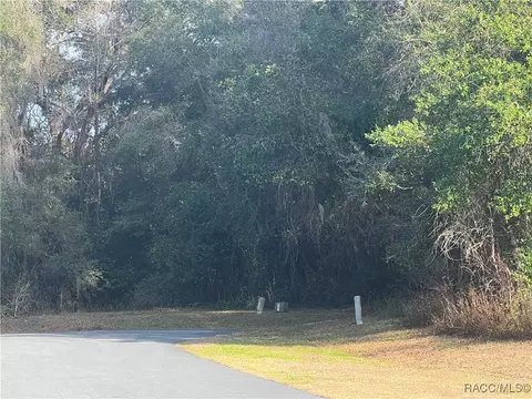 2564 E Chivalry Ct, Hernando, FL 34442 photo 4