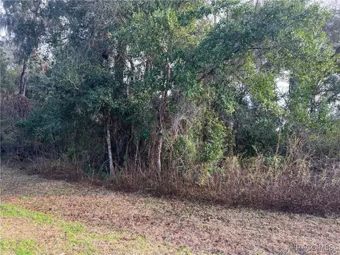 2564 E Chivalry Ct, Hernando, FL 34442 photo 13