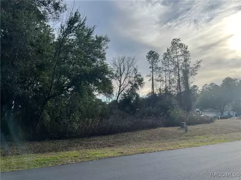 2564 E Chivalry Ct, Hernando, FL 34442 photo 10