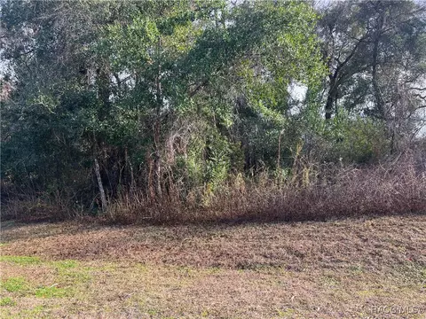 2564 E Chivalry Ct, Hernando, FL 34442 photo 11