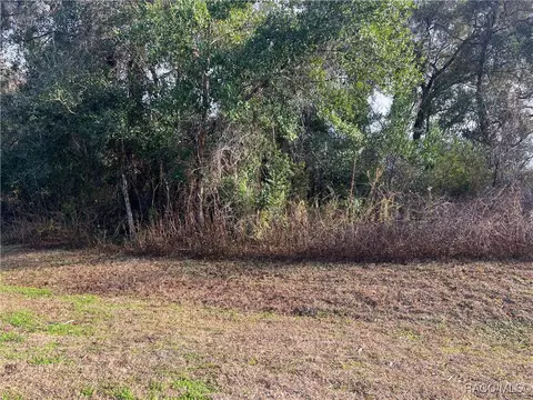 2564 E Chivalry Ct, Hernando, FL 34442 photo 9