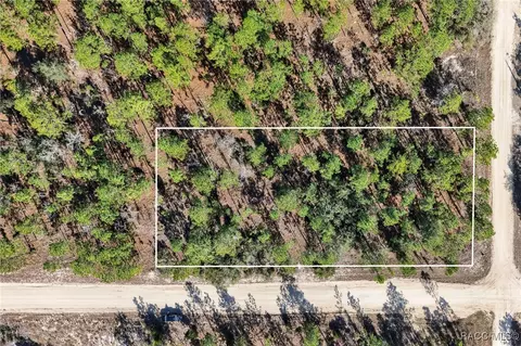 0 SE 2nd Lot 6 St, Williston, FL 32696