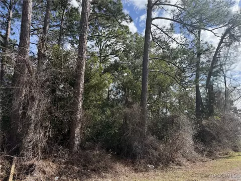 tbd SE 190th Ave, Silver Springs, FL 34488