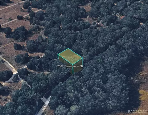2307 Eisenhower St, Inverness, FL 34453 photo 3