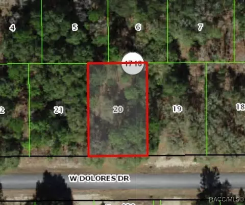 1439 W Dolores Dr, Citrus Springs, FL 34434