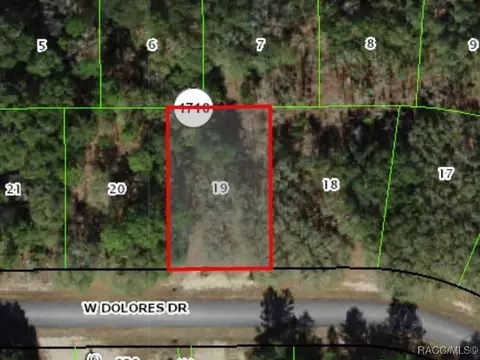 1427 W Dolores Dr, Citrus Springs, FL 34434
