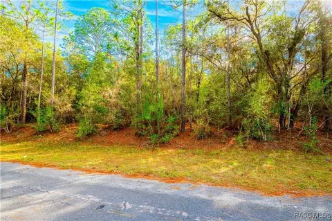 2721 W Blink Dr, Citrus Springs, FL 34434