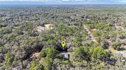View/Area - 4396 N Forest Lake Dr, Hernando, FL 34442 photo 2 of 13