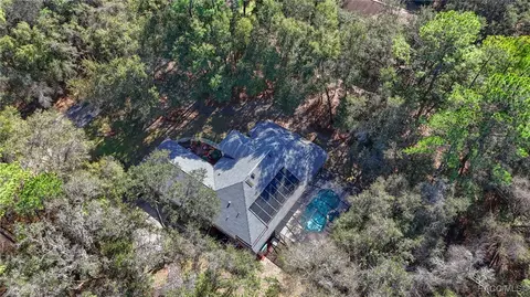 View/Area - 4396 N Forest Lake Dr, Hernando, FL 34442 photo 3 of 13